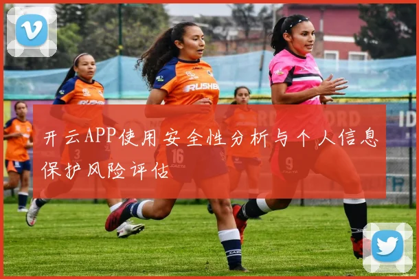 开云APP使用安全性分析与个人信息保护风险评估
