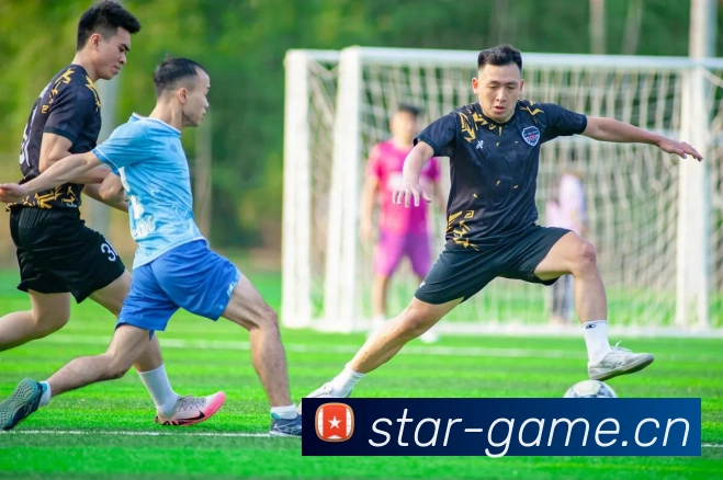 开云官网平台生态图